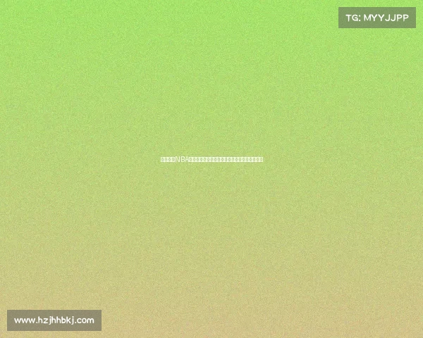 全面解析NBA技术统计指标及其对球员表现的影响与评价标准